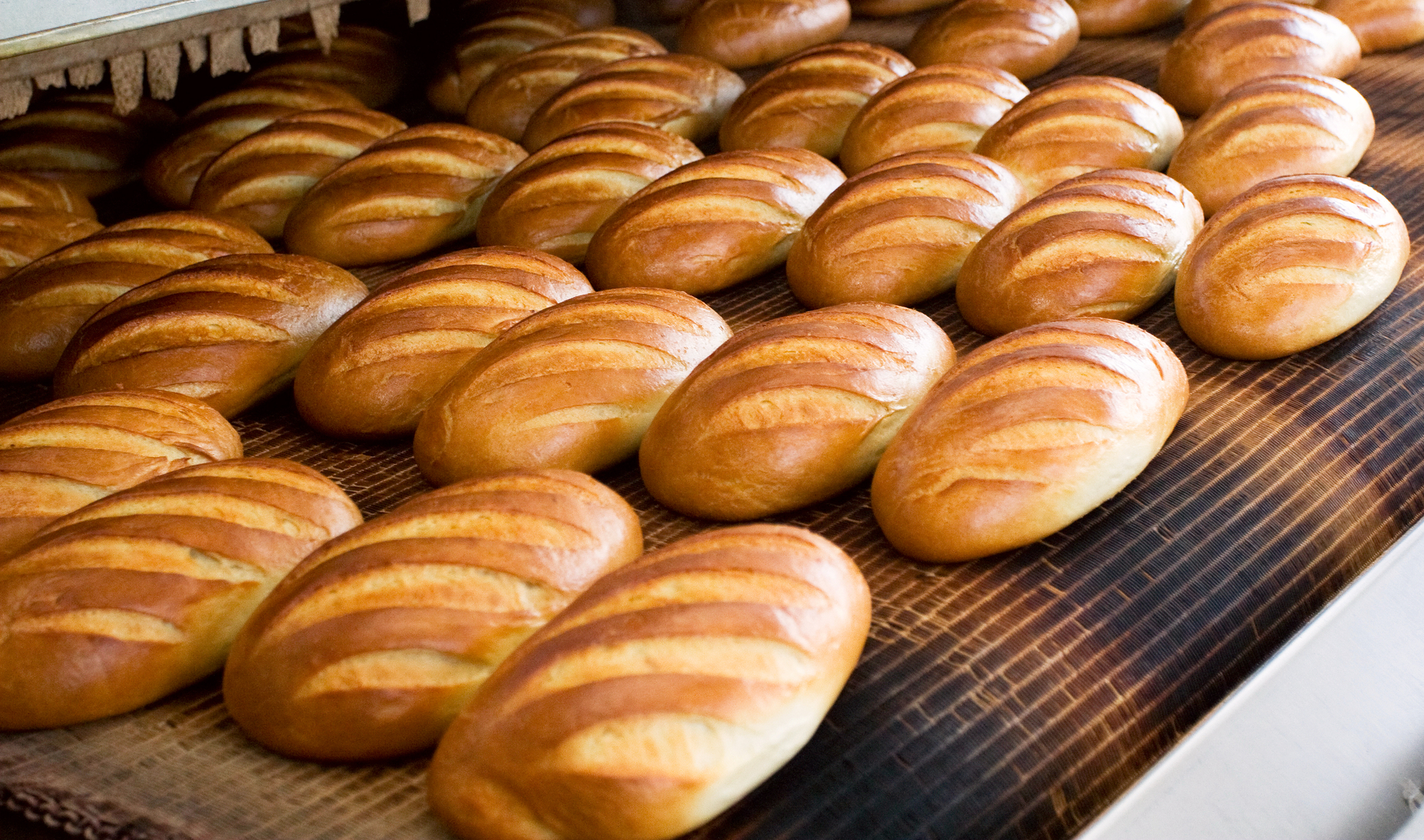 Bread at the bakery